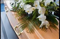 White flower arrangement on top of closed coffin